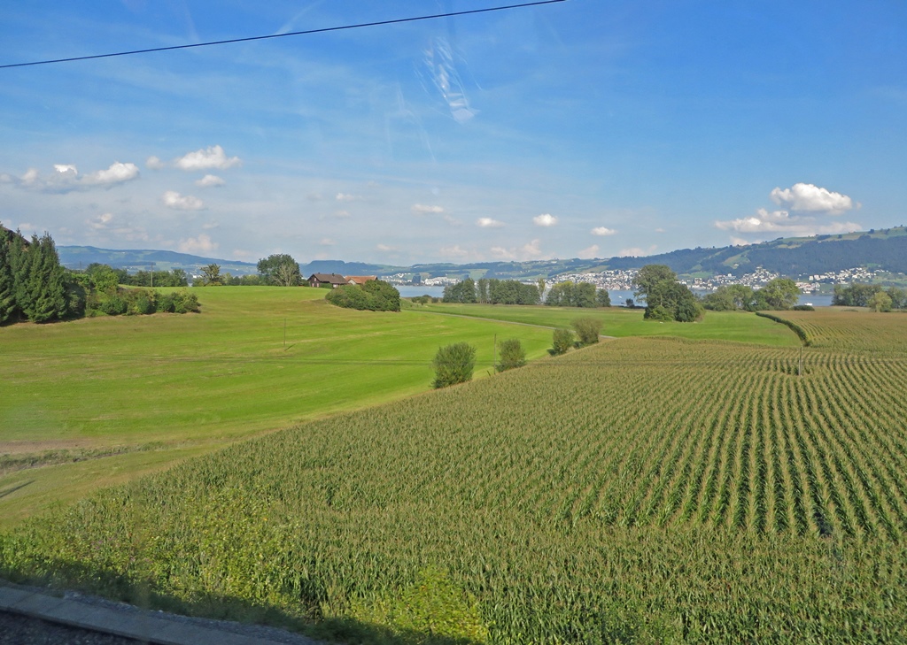 Swiss Countryside with Lake